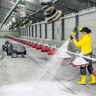 You Can Prevent Bird Flu Outbreaks!